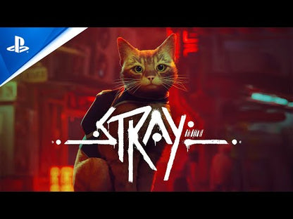 Stray | PS5 | Playstation 5 | New Factory Sealed Game